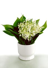 white fragrant flowers of Convallaria maialis - lilies-of-the-valley close up