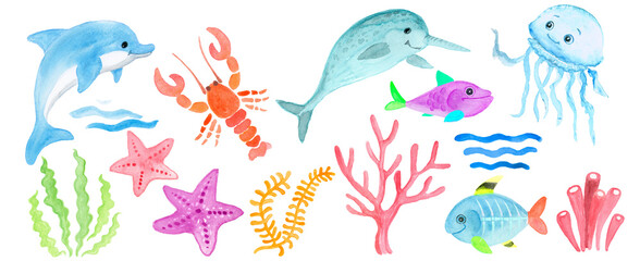 Set of drawings of sea animals, seaweed and coral on a white background
