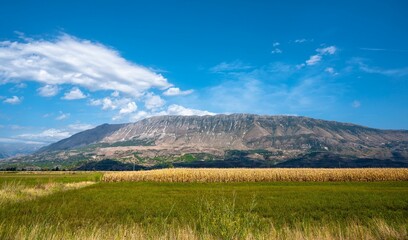 Beautiful landscape of a green field on the background of a rocky mountain