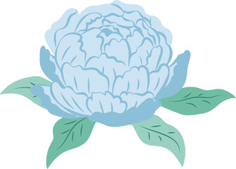 Blue Peony Flower Isolated Illustration