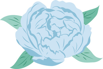 Blue Peony Flower Isolated Illustration