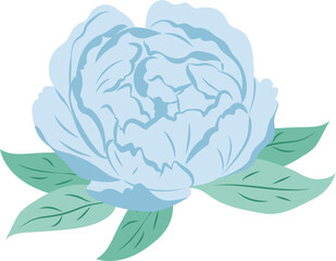 Blue Peony Flower Isolated Illustration