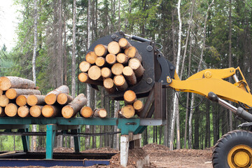 Loading logs with a special loader.Timber products warehouse on a specialized site.