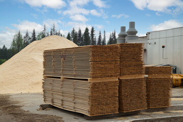 Industrial plant sawmill - production of wooden boards with modern machines - obrazy, fototapety, plakaty