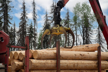 Loading logs onto a logging truck. Portable crane on a logging truck.