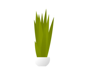 Home plant in a pot on a white background. Landscaping apartments, houses. Vector illustration. Cartoon style.