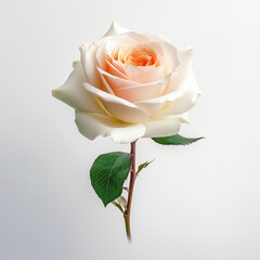 beautiful flower painting Generated AI