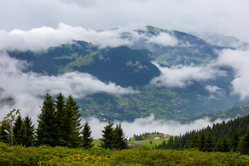 Giresun Province, Kulakkaya highland lush nature and houses and animals in the highland