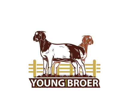 YOUNG BROER GOAT LOGO, silhouette of great sheep standing vector illustrations