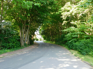 Obraz premium Coffee to Fly hanburg