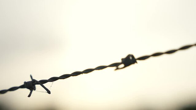 Close up of barbed wire against the background of the blurred sunset sky