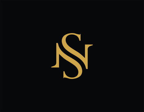 Simple Initial Letter SN Gold Logo Design Template