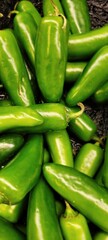 green peppers