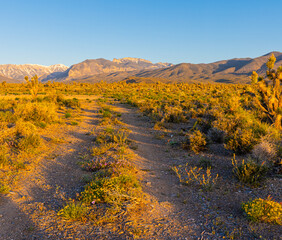 Backroads Leading to The Spring Mountain Range, Red Rock Canyon National Conservation Area, Nevada, USA