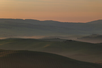 Fototapeta na wymiar Tuscany fields in springtime, sunrise foggy mood,, Val d'Orca, Pienza region