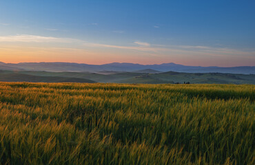 Obraz premium Tuscany fields in springtime, sunrise foggy mood,, Val d'Orca, Pienza region