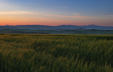 Tuscany fields in springtime, sunrise foggy mood,, Val d'Orca, Pienza region