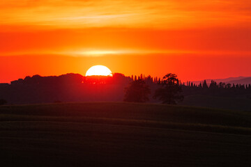 Obraz premium Tuscany fields in springtime, fiery sunset , Val d'Orcia, Pienza region, Italy,