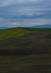Tuscany fields in springtime, cloudy day mood, Val d'Orca, Pienza region