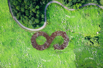 Infinity sign in a forest, The circular economy icon on nature background, Circular economy concept.