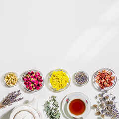 Healing herbal tea with wild plants and flowers. Home herbal apothecary concept. Sustainable still life with natural flowers and herbs, cup of tea, tea pot, spoons on white background. Copy space