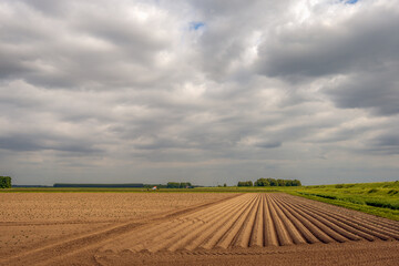 Vast field with freshly planted potatoes in long rows. It is a heavily clouded day in the Dutch spring season. The photo was taken in the Hoeksche Waard, province of South Holland.