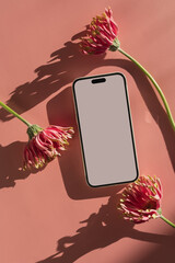 Smartphone with blank screen and gerber flowers on pink background. Aesthetic sunlight shadows....