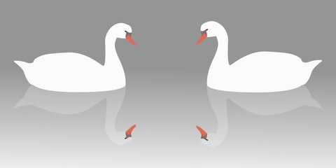 Swan vector design illustration
