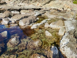 波食甌穴群 ポットホール 日本海　豊岡