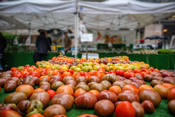 Organic tomatoes variety, farmers market stall, bio food, healthy eating