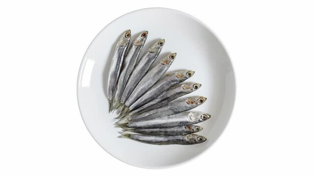 Anchovies of fish on light plate rotating on white background, turning, top view
