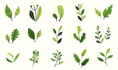 Vector design elements collection of fern green forest, green uca green green art leaves natural herb in silhouette beauty decoration elegant illustration for design.