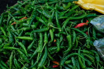 Many green chili peppers. Green hot chilli peppers pattern texture background. Close up. A backdrop of green hot chilli peppers