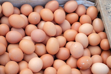 Eggs in basket. Eggs natural seamless background closeup