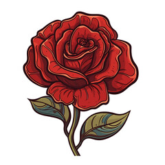 red rose illustration vector isolated in white 