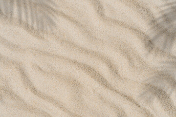 Fototapeta na wymiar sand texture background and shadow leaves 