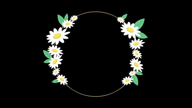 Daisy floral frame animation. Round frame from summer flowers. Moving wreath of chamomile flowers with green fresh leaves. Flat style daisy flower wreath. 4k design template. Round frame template.