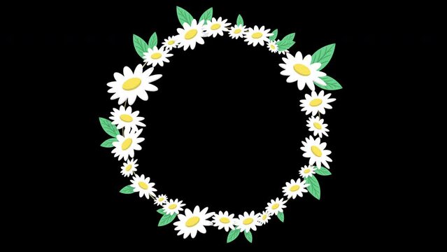 Daisy floral frame animation. Round frame from summer flowers. Moving wreath of chamomile flowers with green fresh leaves. Flat style daisy flower wreath. 4k design template. Round frame template.