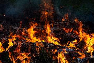 Burning down fire. Last embers and ashes