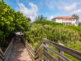 Fototapeta premium Public boardwalk between Atlantic Ocean (off camera) and parking lot, with abundant sea grape (binomial name: Coccoloba uvifera) and palmetto, near a large beach house on a barrier island in Florida