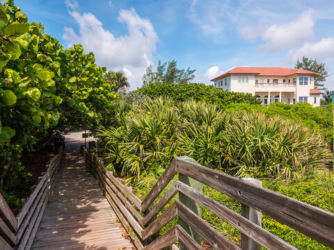 Public boardwalk between Atlantic Ocean (off camera) and parking lot, with abundant sea grape (binomial name: Coccoloba uvifera) and palmetto, near a large beach house on a barrier island in Florida