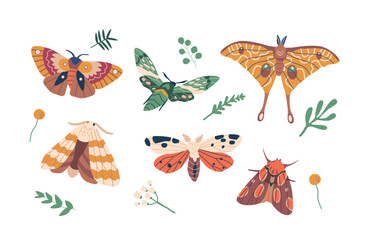 Graceful And Delicate, Butterflies Are Vibrant Insects That Captivate With Their Colorful Wings And Whimsical Flight