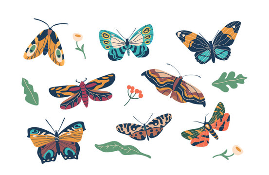 Butterflies With Vibrant Wings And Fluttering Flight. Symbolizing Transformation And Beauty, Graceful Creatures
