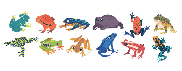 Collection Of Exotic Frogs Showcasing Vibrant Colors, Unique Patterns, And Diverse Species. Beautiful Tropical Animals