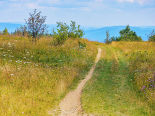 country road on the top of a hill. mountainous countryside landscape on a sunny day in summertime. hiking through rural area