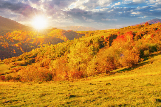 beautiful autumn mountain landscape at sunset. colorful scenery with trees in fall foliage on the hills and meadows in evening light. beauty in nature concept