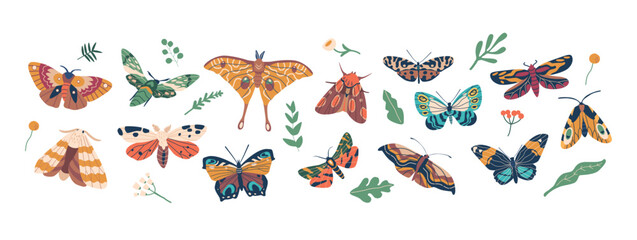 Obraz na płótnie Canvas Graceful Winged Insects, Butterflies Are Known For Their Vibrant Colors And Delicate Patterns, Vector Illustration