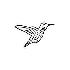 Fototapeta na wymiar Hoatsin bird black line icon.