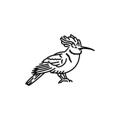 Hoopoe bird black line icon.