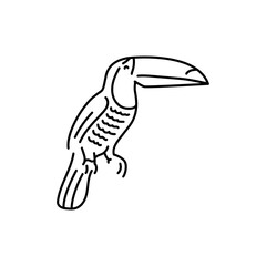 Rainbow-billed toucan black line icon. © Backwoodsdesign